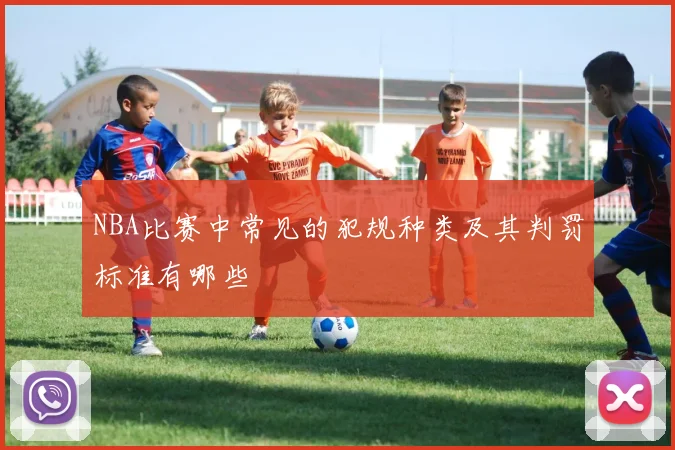 NBA比赛中常见的犯规种类及其判罚标准有哪些