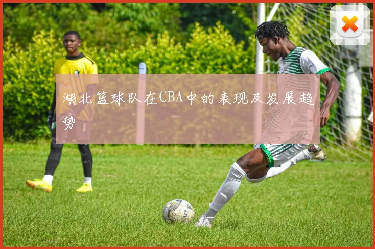 湖北篮球队在CBA中的表现及发展趋势