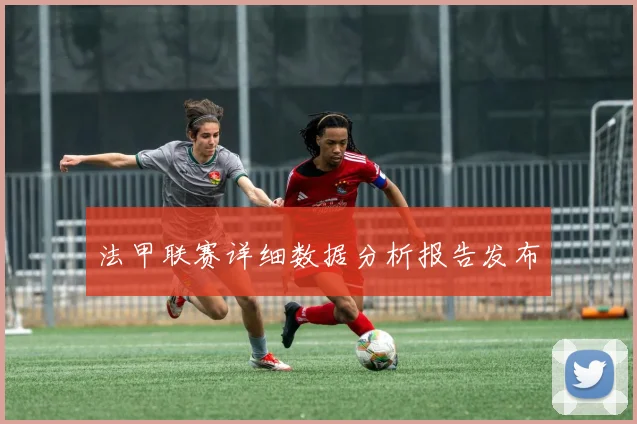法甲联赛详细数据分析报告发布