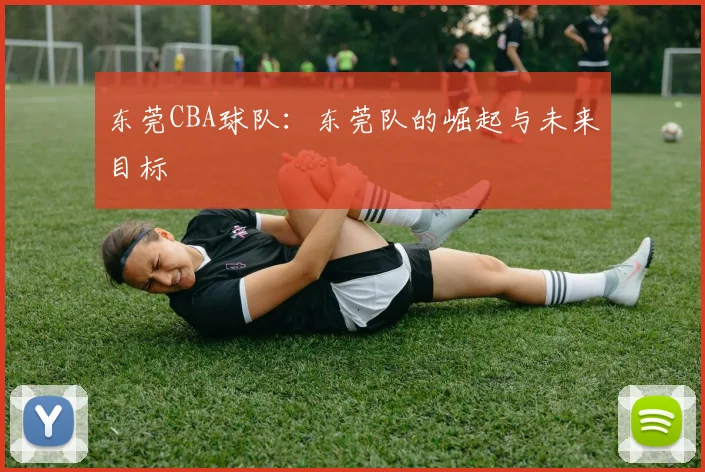 东莞CBA球队：东莞队的崛起与未来目标