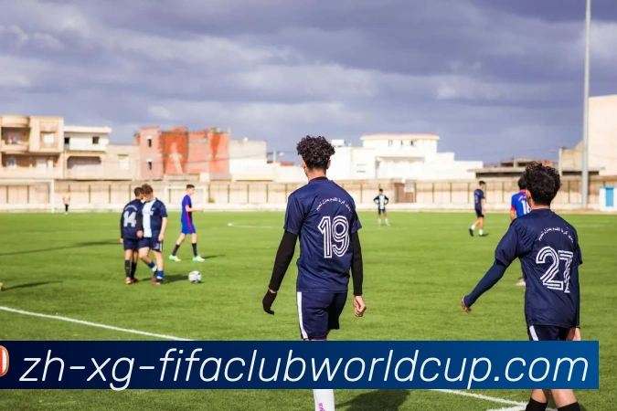 世界杯赛程平台生态图