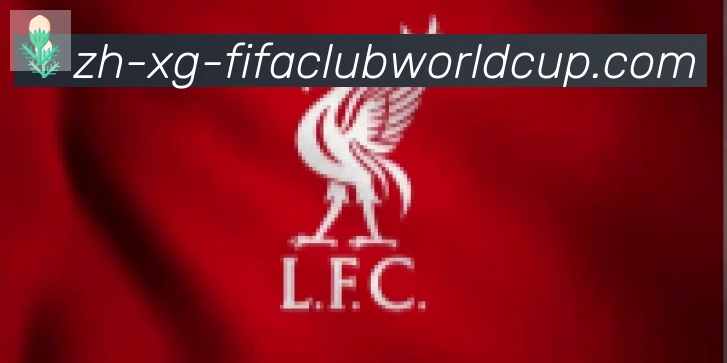 世界杯赛程合作伙伴